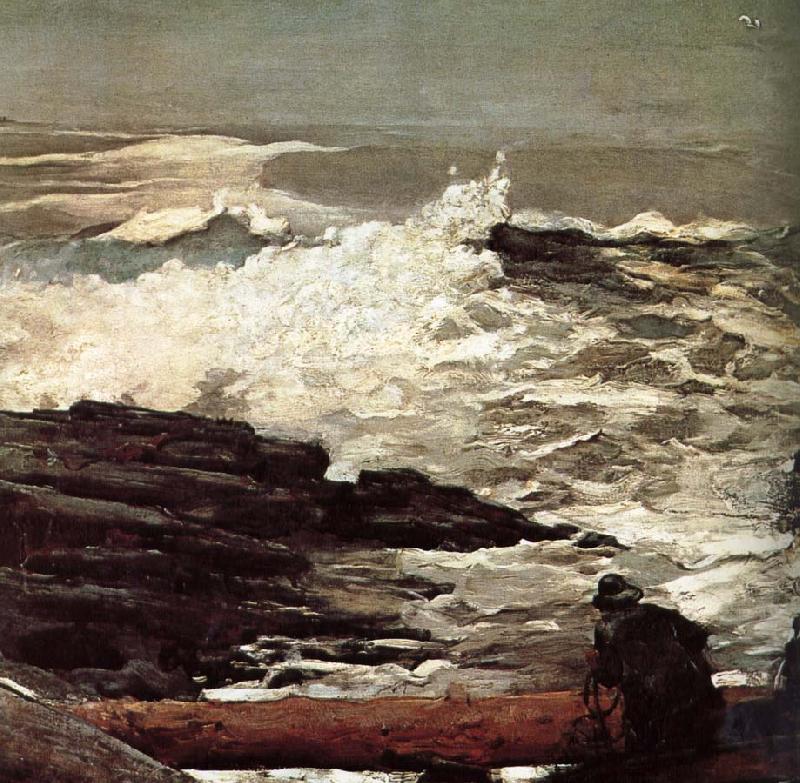 Winslow Homer Driftwood oil painting picture